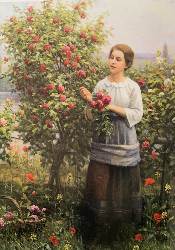 Gathering Roses by Daniel Ridgway