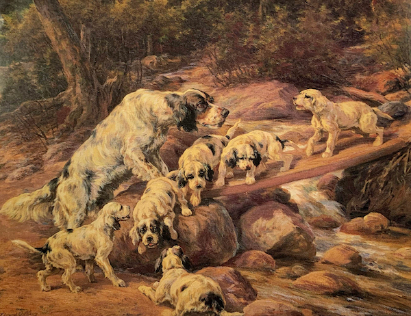 Retriever & Young by Edmund Osthaus