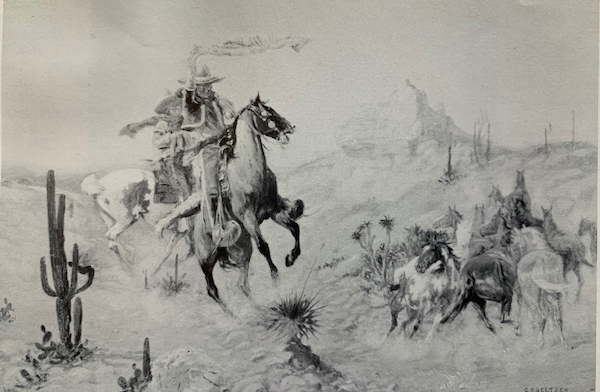 The Wild Horse by Olaf Carl Seltzer